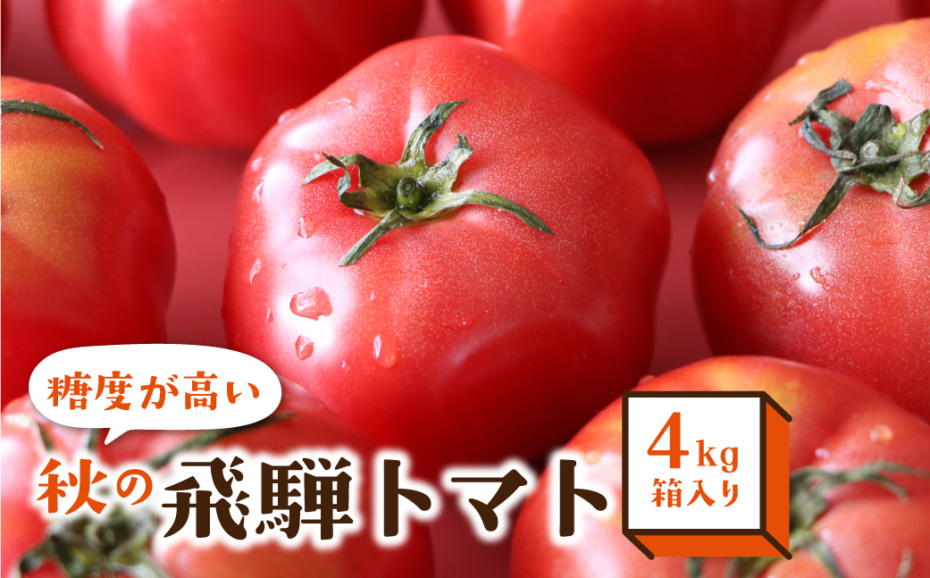 秋の濃い味 飛騨トマト 4kg 大玉 トマト とまと 秋 野菜 期間限定 産地 ...